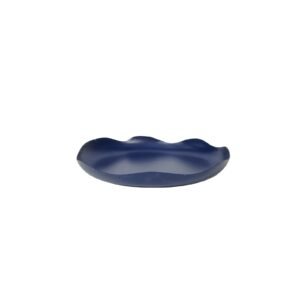 BLUE CURVED SURVING TRAY